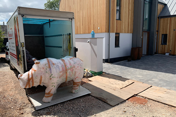 mv removals storage